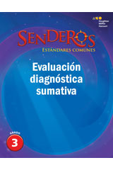 Comprehensive Screening Assessment Grade 3