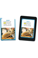 Vocabulary In Context Cards Grade 2-9780547866642