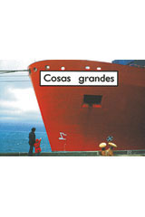 Leveled Reader 6pk magenta basicos (magenta) Cosas grandes (Big Things)