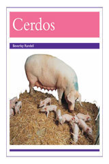 Individual Student Edition morado (purple) Cerdos (Pigs)