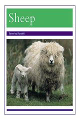 Individual Student Edition Purple (Levels 19-20) Animals - Sheep