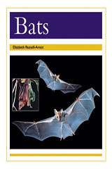 Individual Student Edition Gold (Levels 21-22) Bats