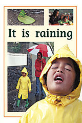 Individual Student Edition Yellow (Levels 6-8) It Is Raining