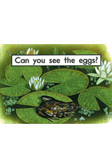 Individual Student Edition Magenta (Levels 1-2) Can You See the Eggs?