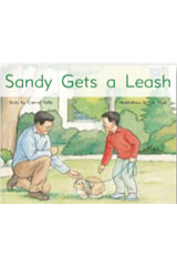 Leveled Reader Bookroom Package Yellow (Levels 6-8) Sandy Gets a Leash-9781418924775