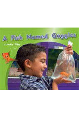 Leveled Reader Bookroom Package Green (Levels 12-14) A Fish Named Goggles-9781418926182