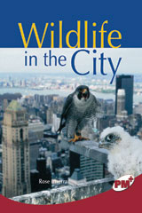 <em>Leveled</em> <em>Reader</em> <em>Bookroom</em> <em>Package</em> <em>Ruby</em> (<em>Levels</em> <em>27</em>-<em>28</em>) Wildlife In the City